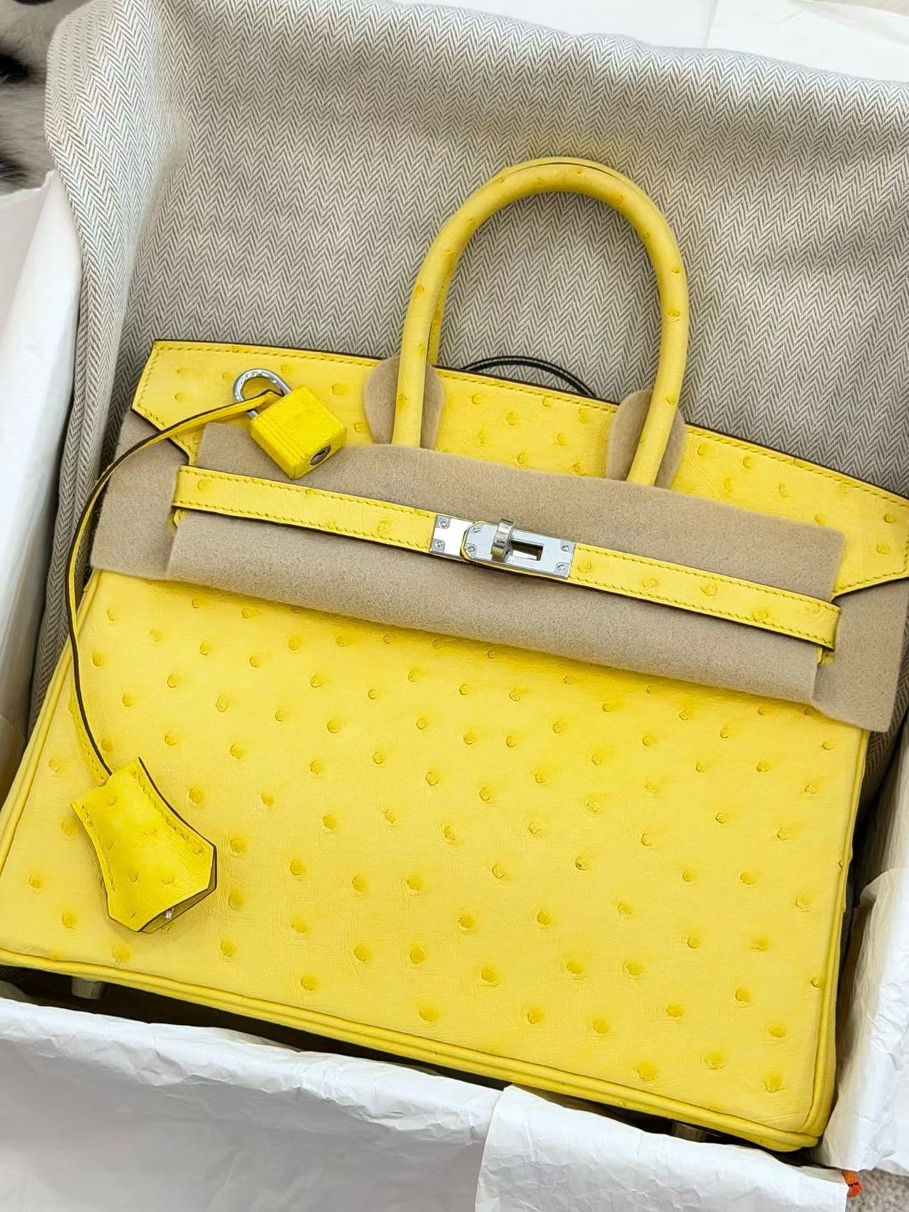 Hermès Birkin 25 25cm in Jaune Citron Ostrich Palladium (PHW) hardware — front view