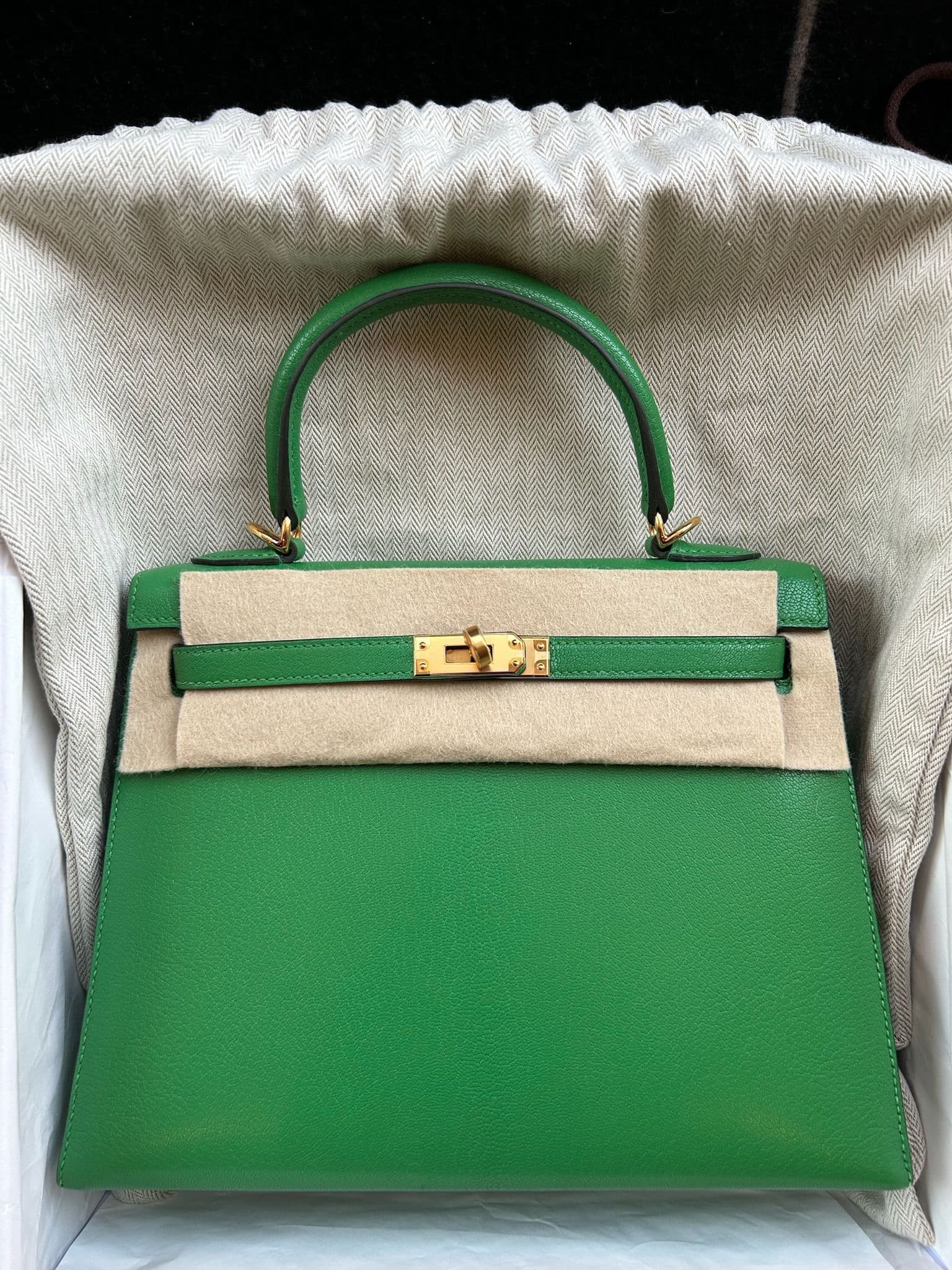 Hermès Kelly 25 25cm in Bambou Chevre Gold (GHW) hardware — front view
