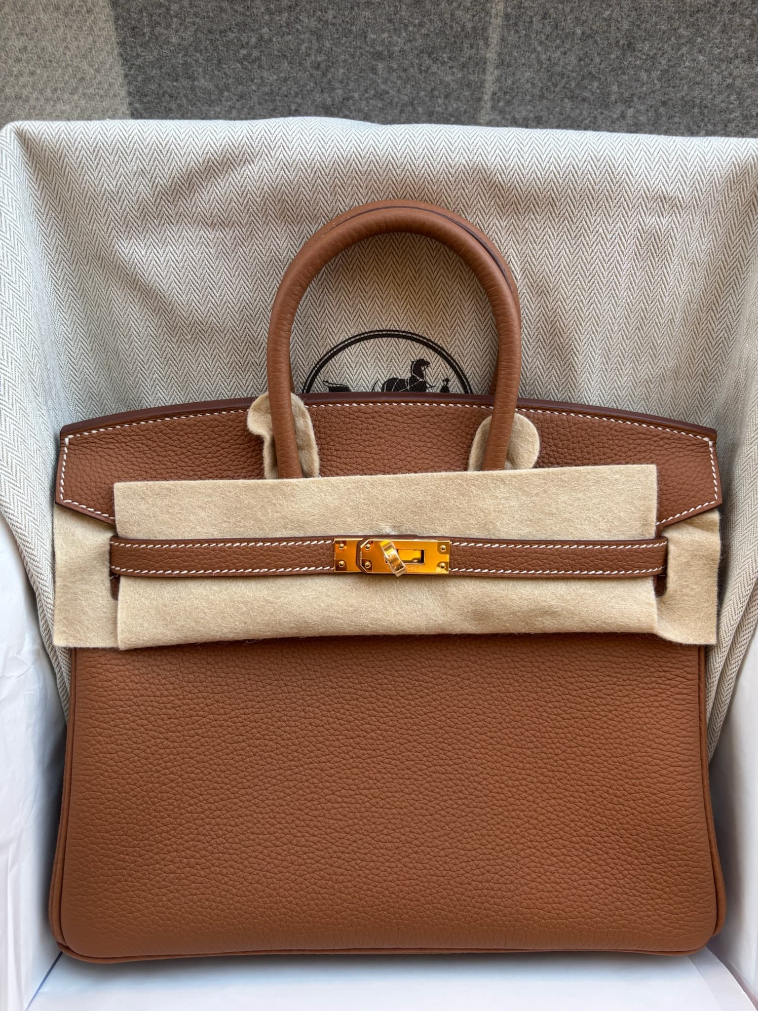 Hermès Birkin 25 25 in Gold Togo Gold (GHW) hardware — front view