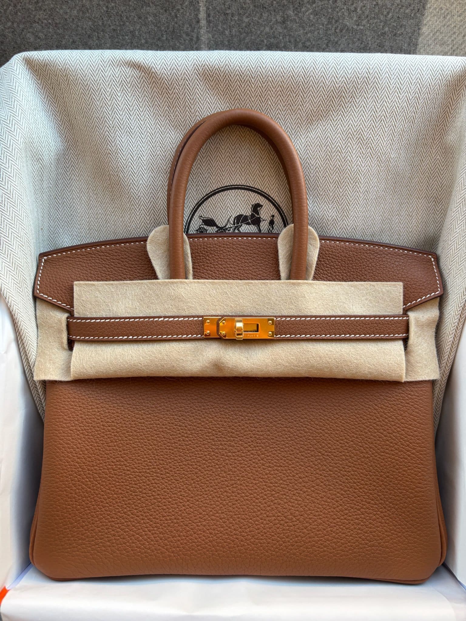 Hermès Birkin 25 25 in Gold Togo Gold (GHW) hardware — front view