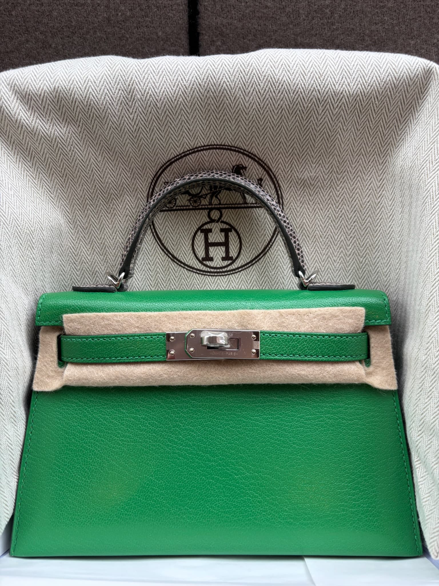 Hermès Other in Bambou Ombré Chevre Palladium (PHW) hardware — front view