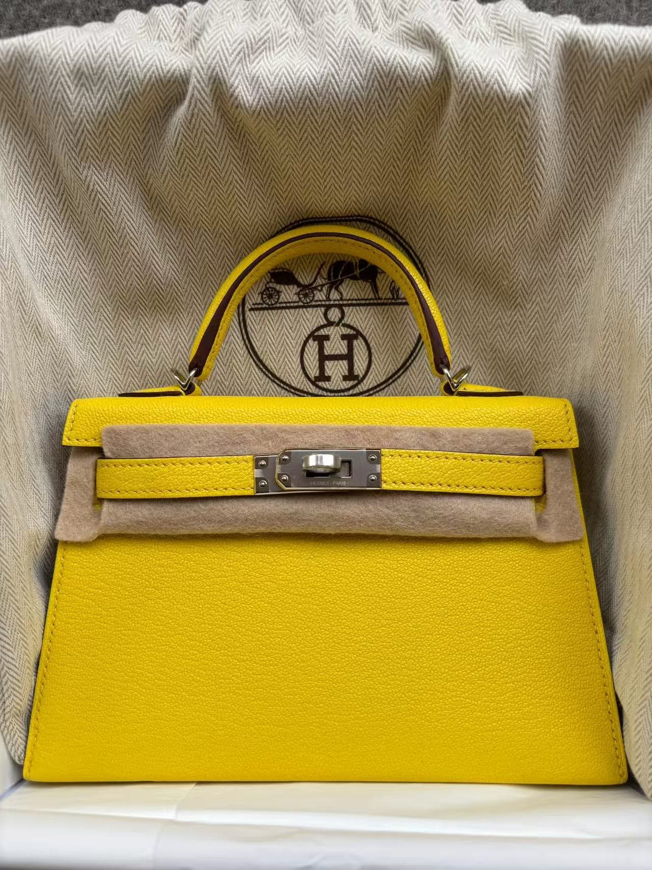 Hermès Other in Jaune De Naples Chevre Palladium (PHW) hardware — front view