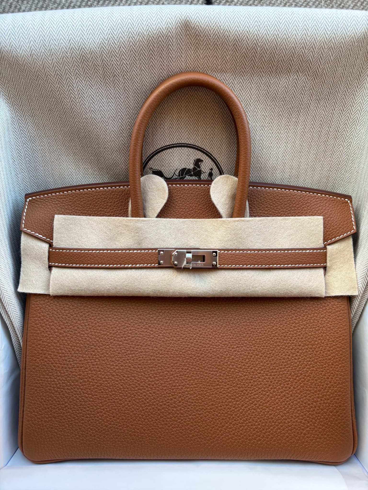 Hermès Birkin 25 25 in Gold Togo Gold (GHW) hardware — front view