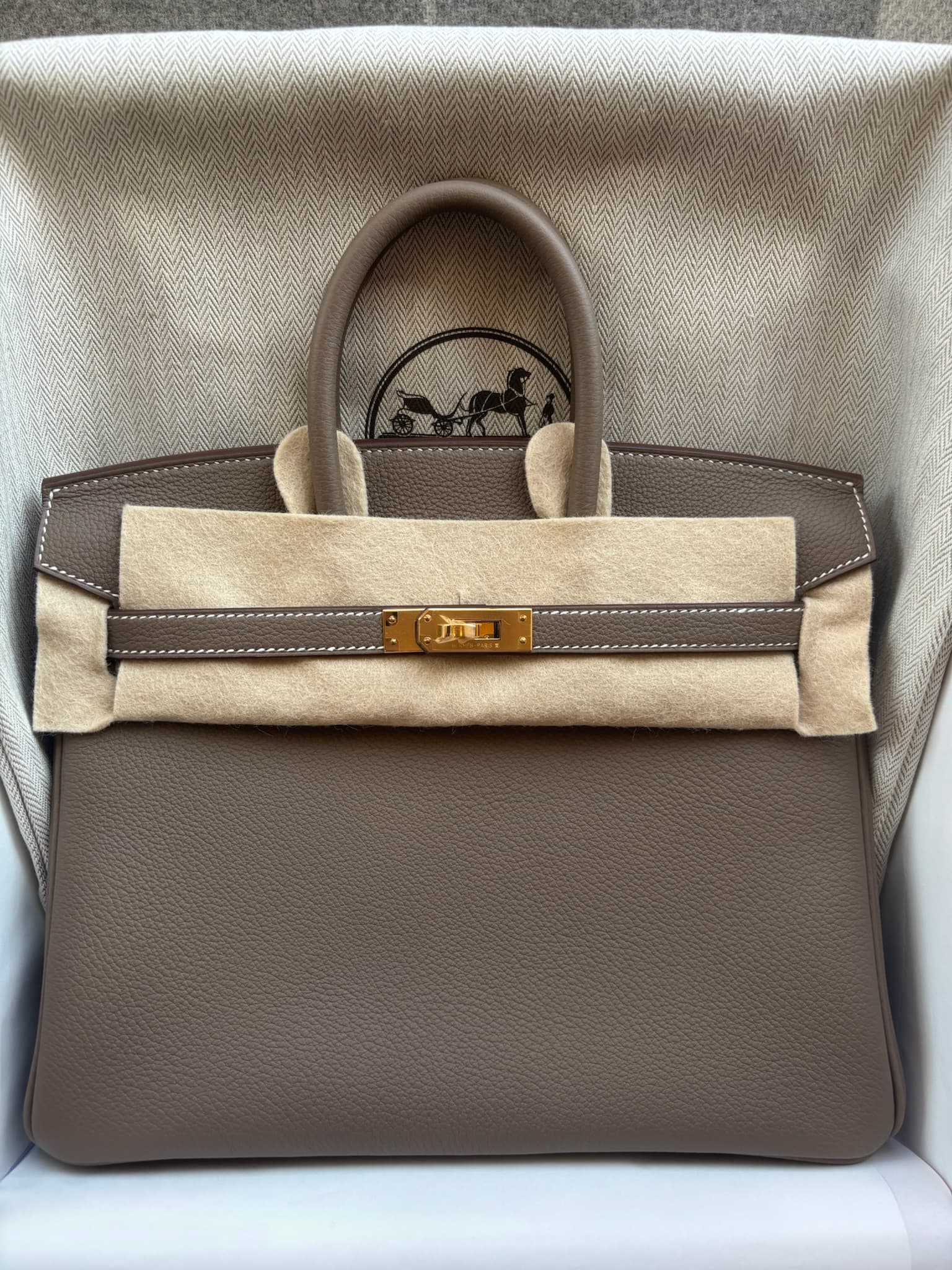 Hermès Birkin 25 25 in Etoupe Togo Gold (GHW) hardware — front view