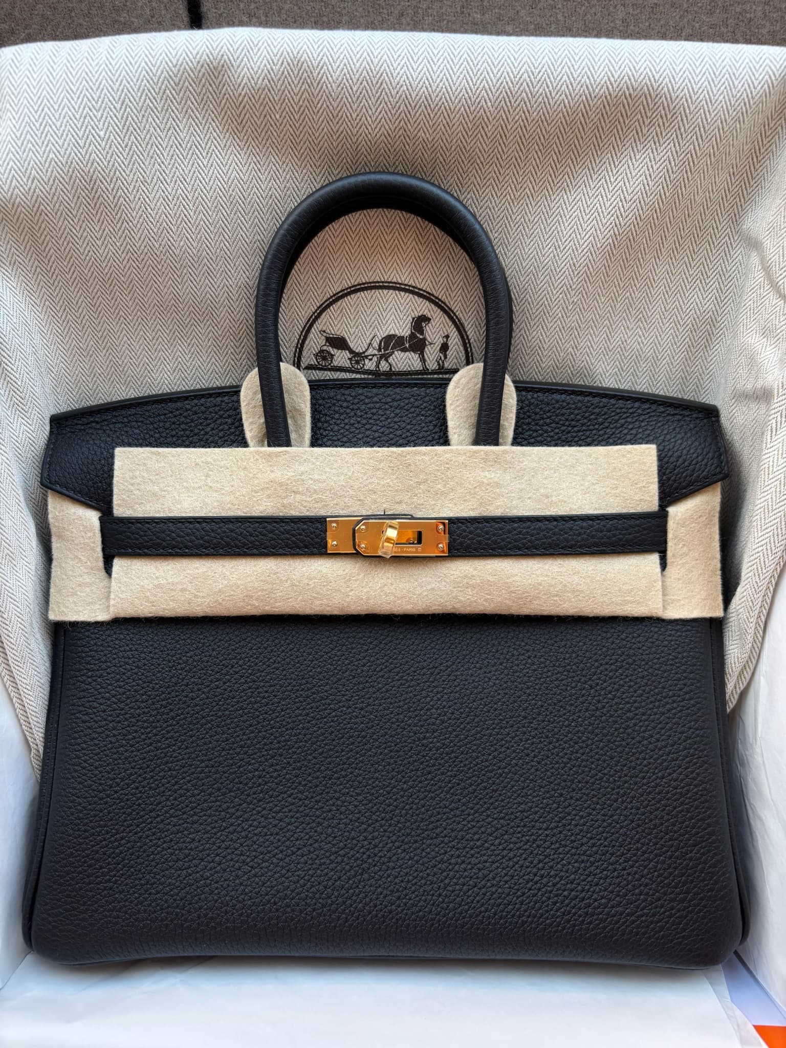 Hermès Birkin 25 25 in Black Togo Gold (GHW) hardware — front view