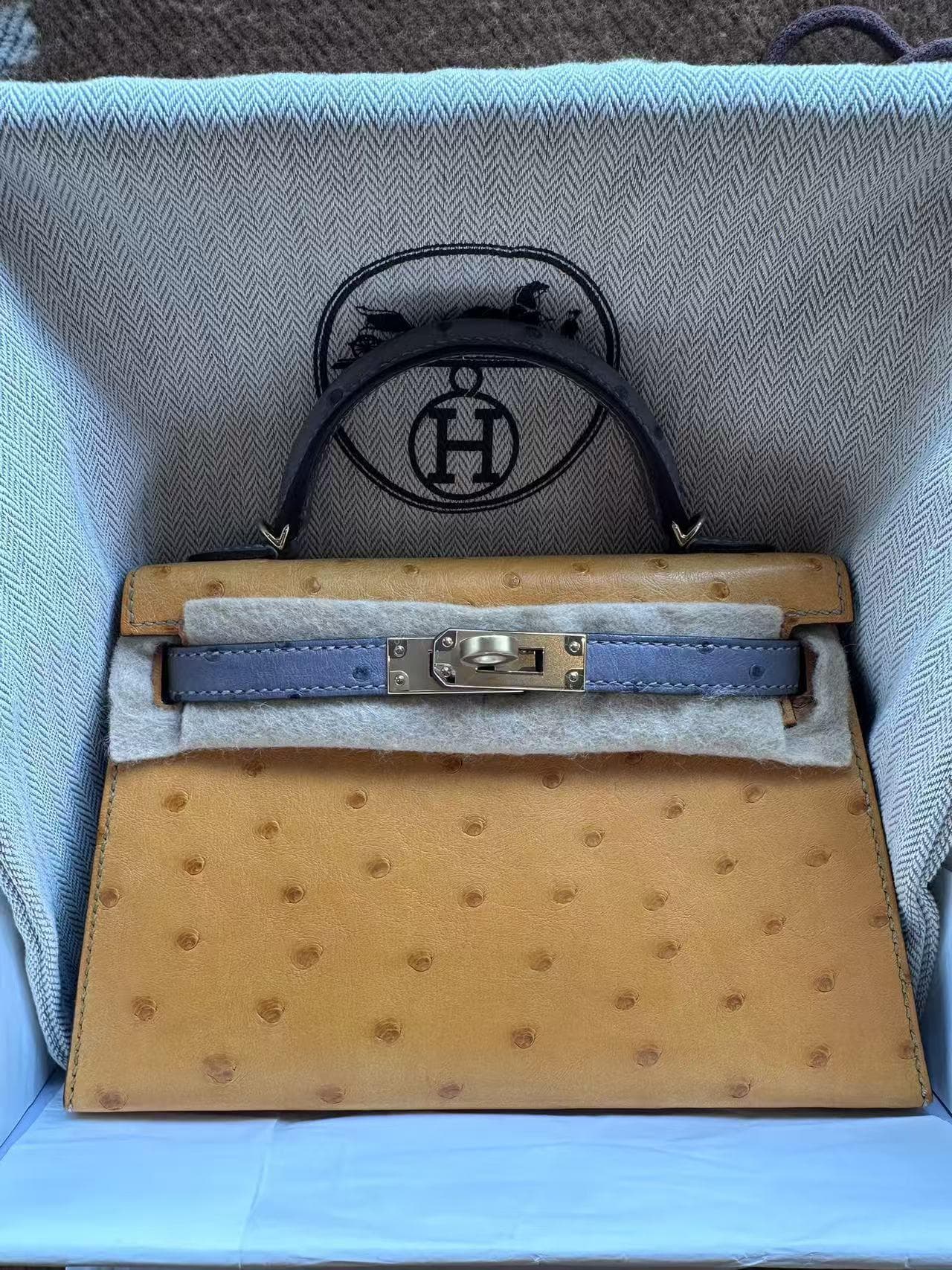 Hermès Other 20 in Gold / Bleu / Marine Ostrich Palladium (PHW) hardware — front view