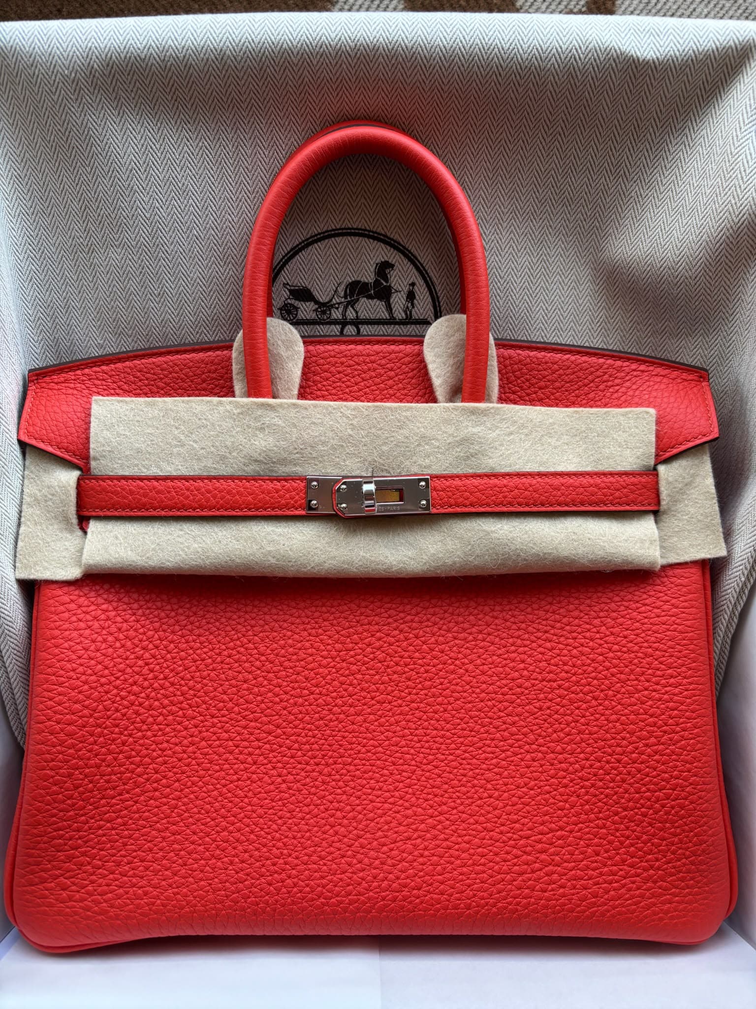 Hermès Birkin 25 25 in Capucine Togo Palladium (PHW) hardware — front view