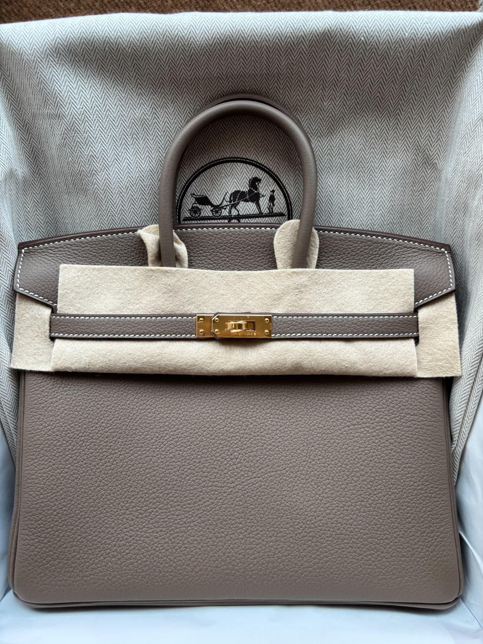Hermès Birkin 25 25 in Etoupe Togo Gold (GHW) hardware — front view