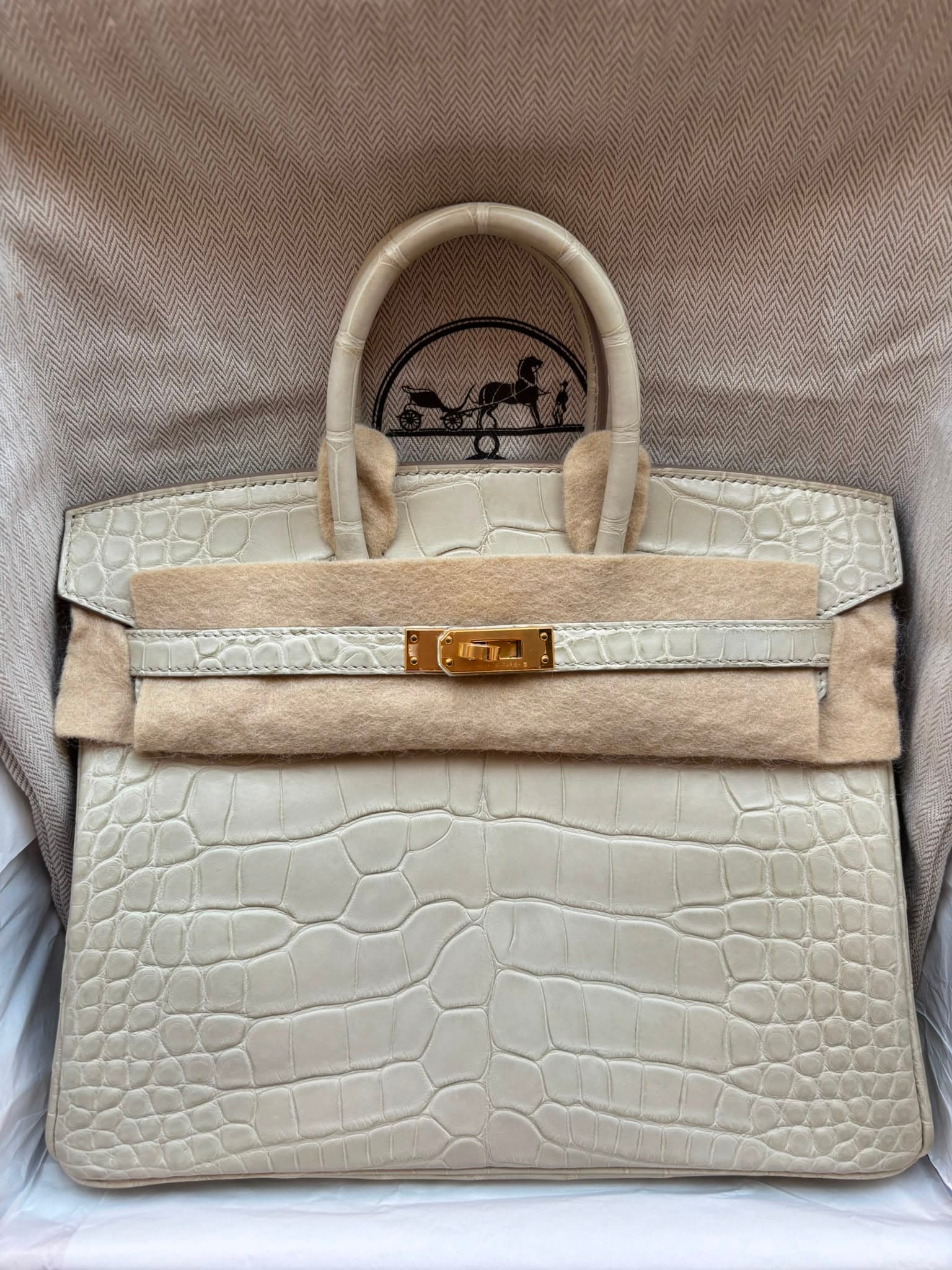 Hermès Birkin 25 25 in Béton Matt Alligator Gold (GHW) hardware — front view