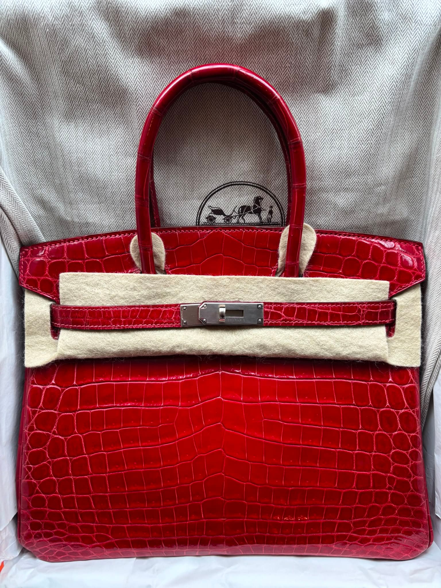 Hermès Birkin 30 30 in Braise Shiny Niloticus Crocodile Palladium (PHW) hardware — front view