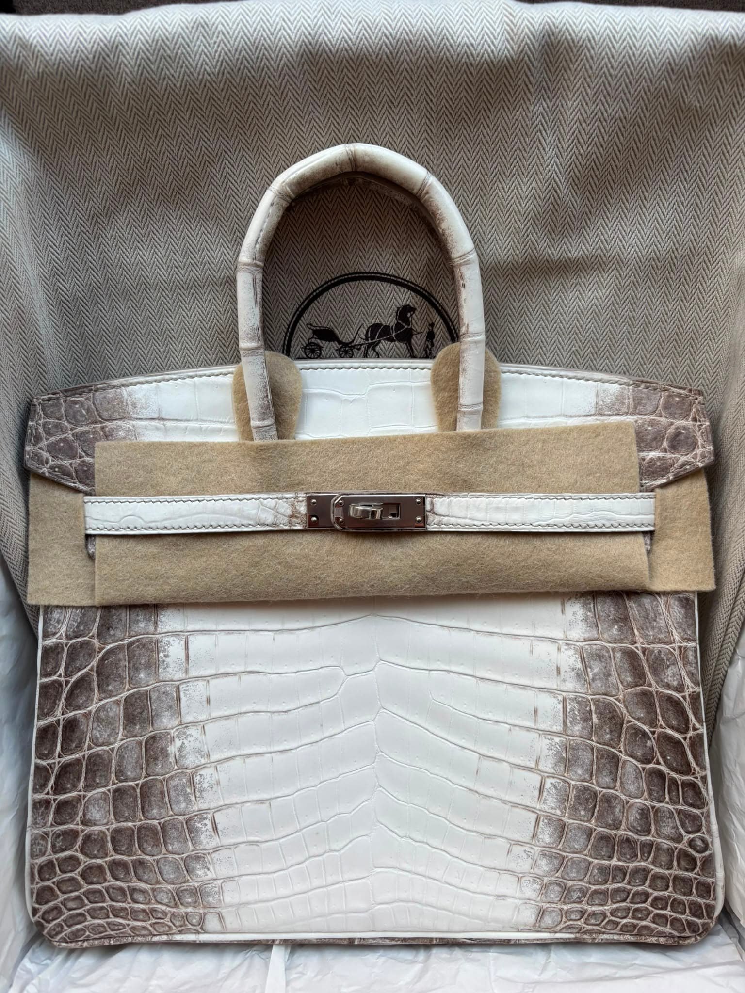 Hermès Birkin 25 25 in Himalayan Niloticus Crocodile Palladium (PHW) hardware — front view