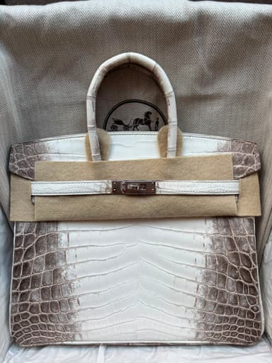 Hermès Birkin 25 Himalayan Niloticus Crocodile PHW