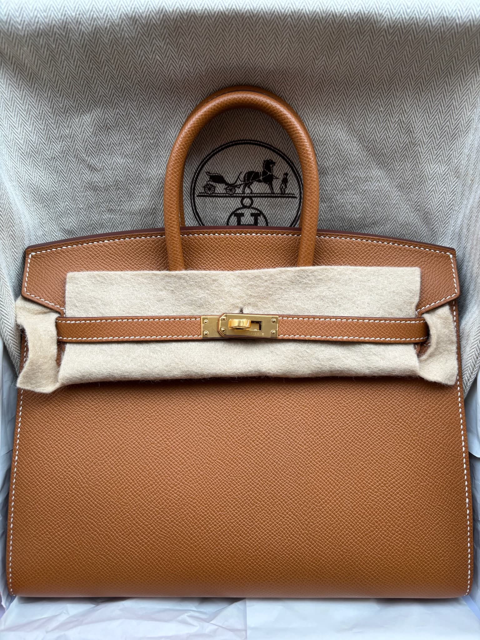Hermès Birkin 25 25 in Gold Togo Gold (GHW) hardware — front view
