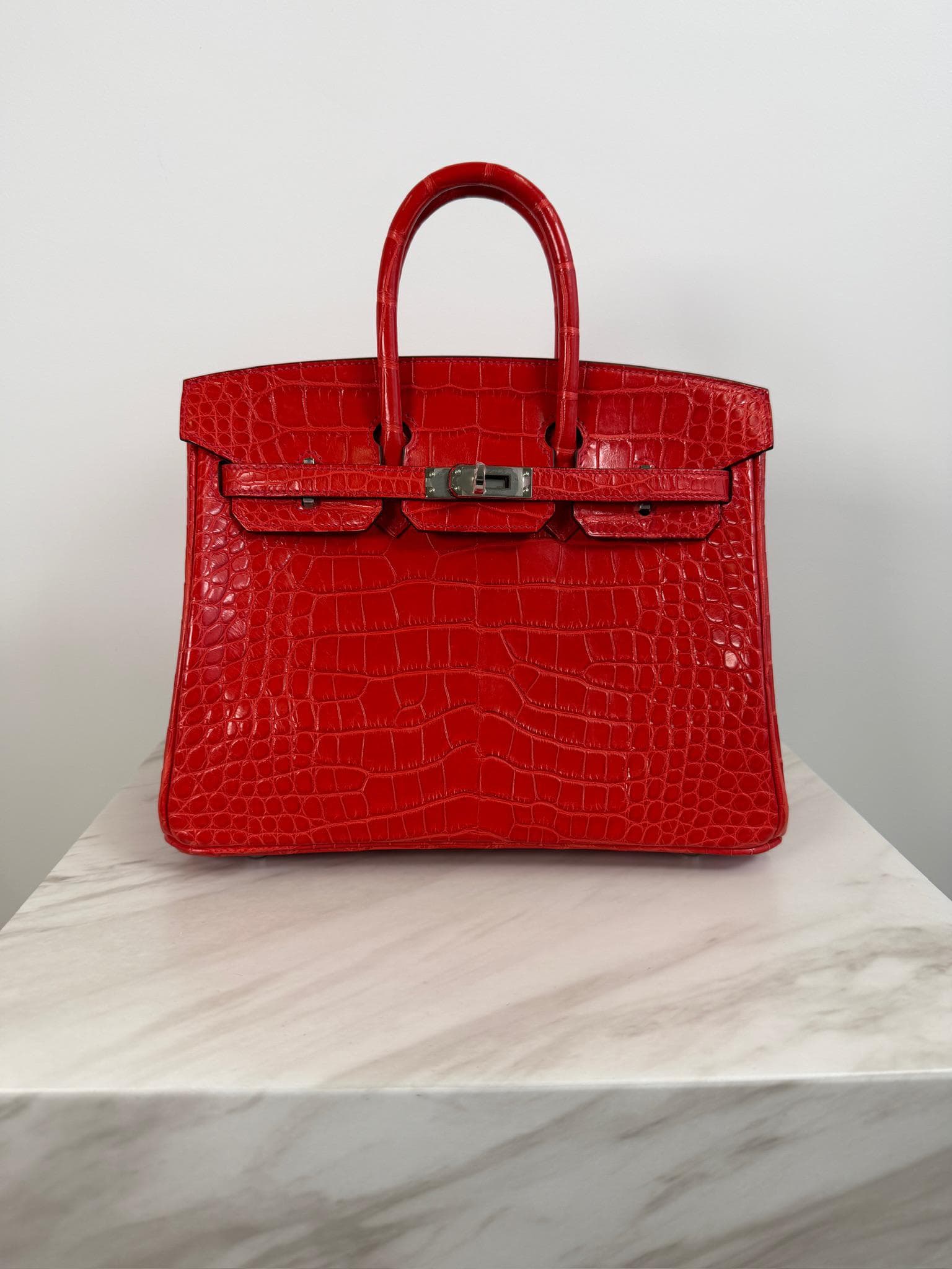 Hermès Birkin 25 25 in Geranium Matte Alligator Palladium Hardware hardware — front view
