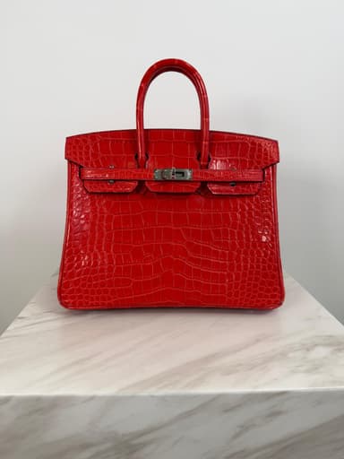 Hermès Birkin 25 Geranium Matte Alligator Palladium Hardware