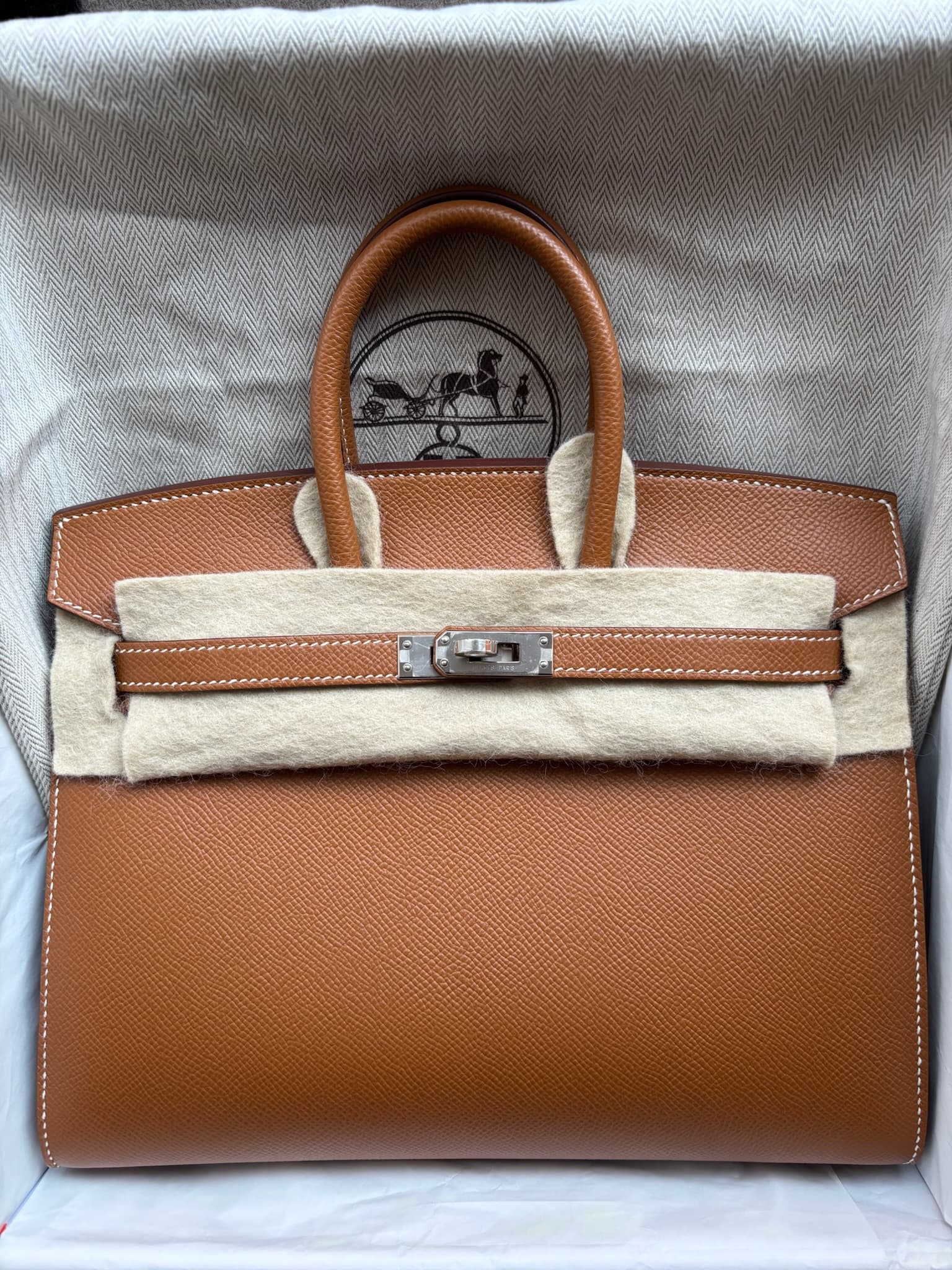 Hermès Birkin 25 25 in Gold Epsom Palladium (PHW) hardware — front view