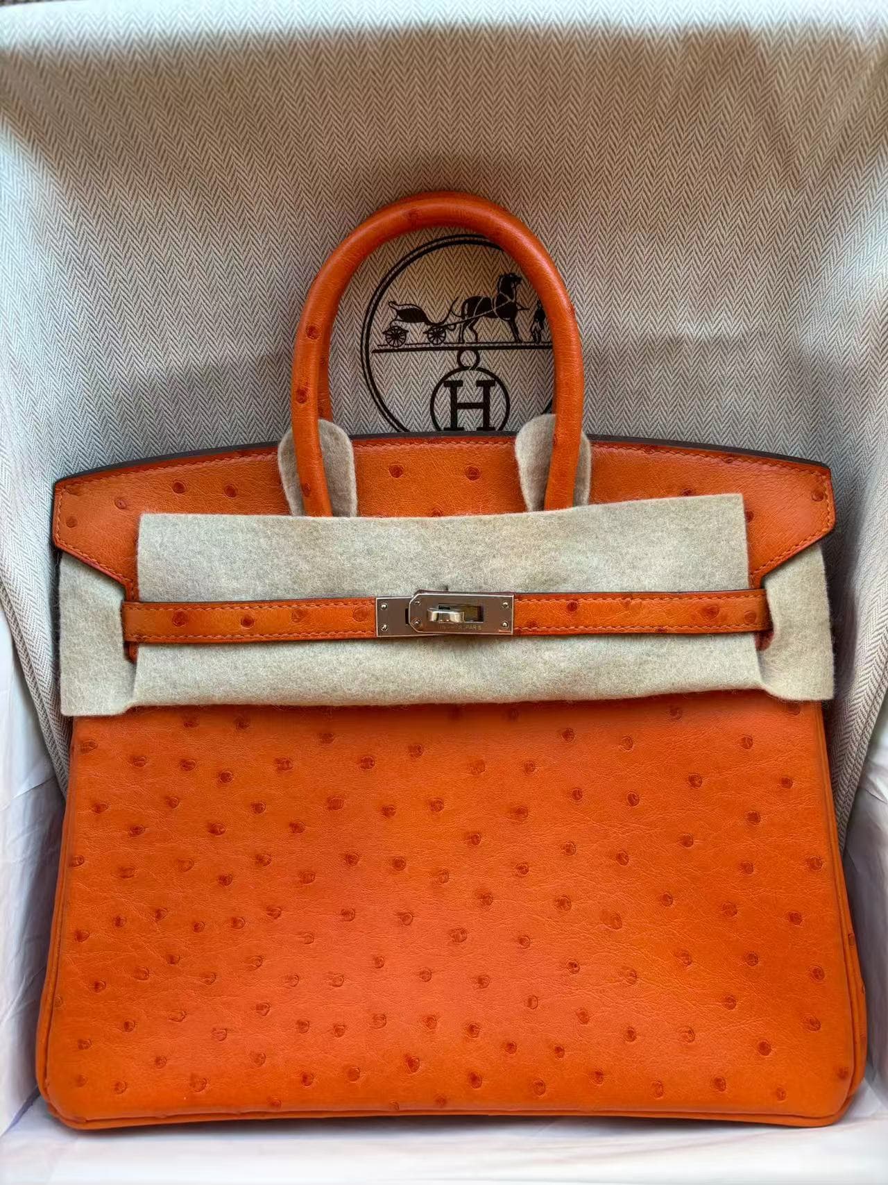 Hermès Birkin 25 25 in Orange Ostrich Palladium (PHW) hardware