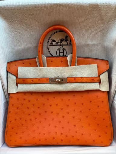 Hermès Birkin 25 Orange Ostrich PHW