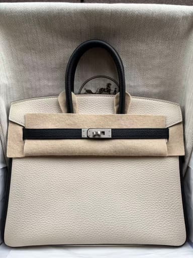Hermès Birkin 25 Craie & Black Togo Brushed Palladium Hardware