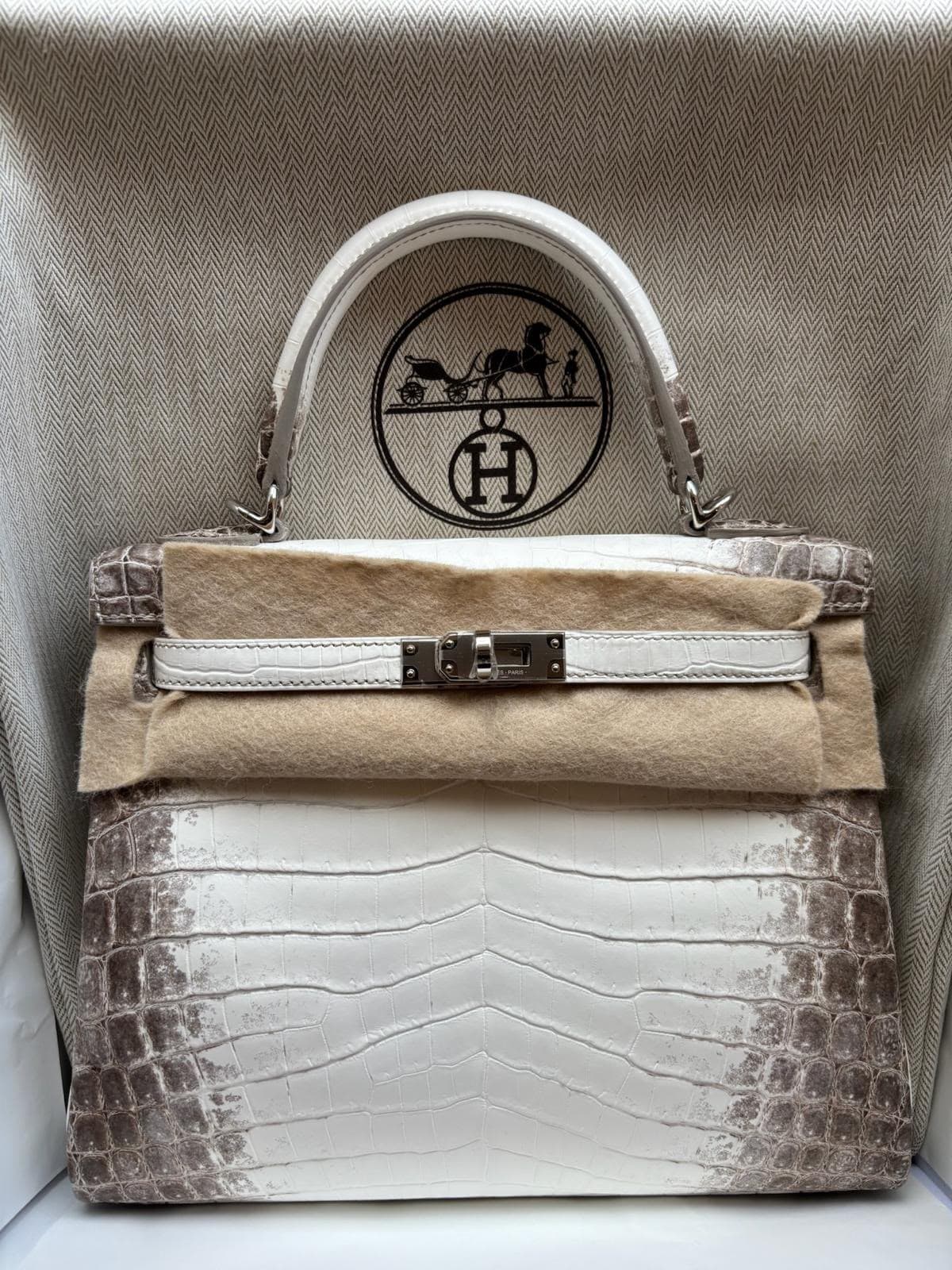 Hermès Kelly 25 25 in Himalayan Niloticus Crocodile Palladium (PHW) hardware — front view