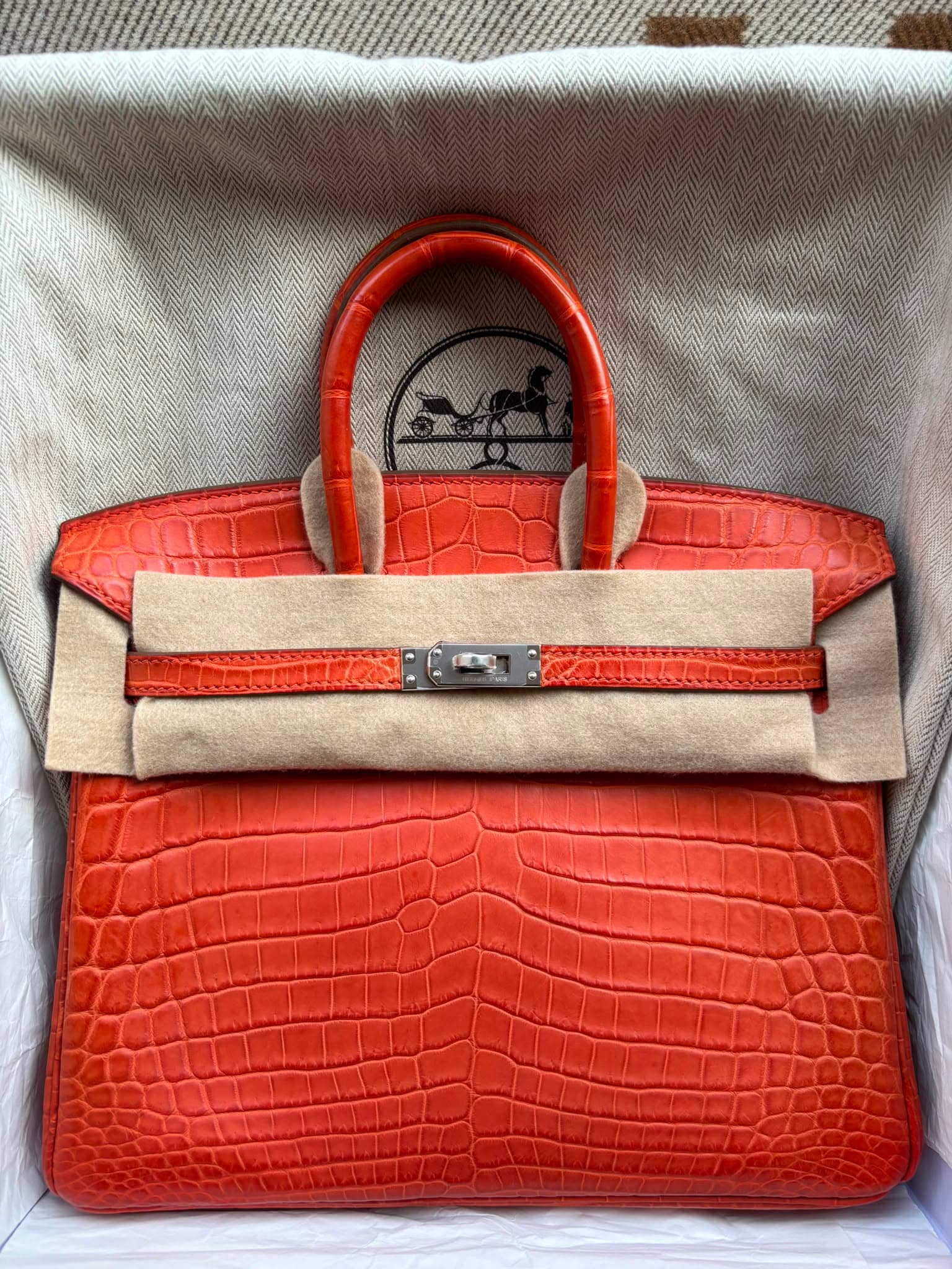 Hermès Birkin 25 25 in Flamingo Niloticus Crocodile Palladium (PHW) hardware — front view