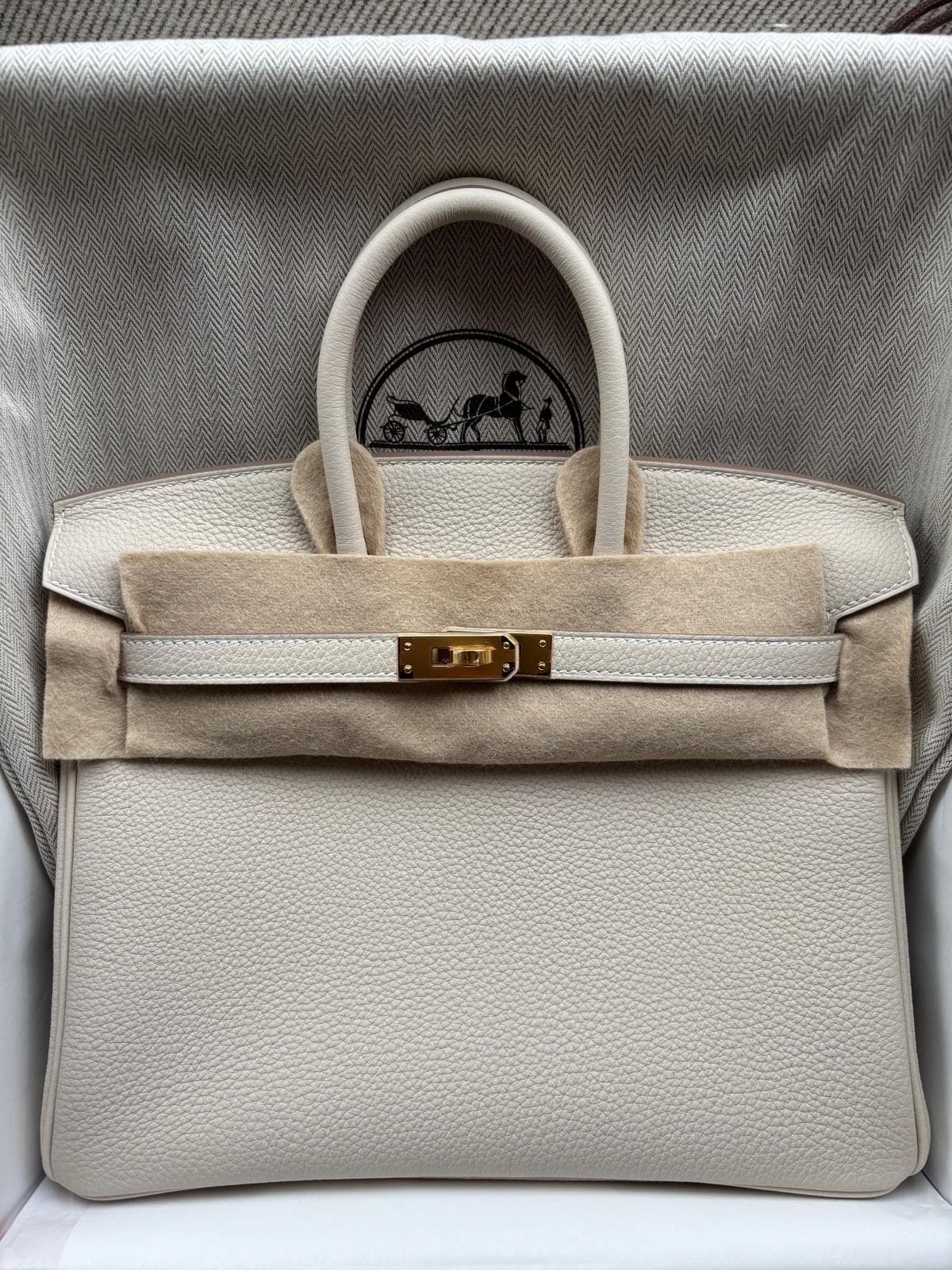Hermès Birkin 25 25 in Craie Togo Gold (GHW) hardware — front view