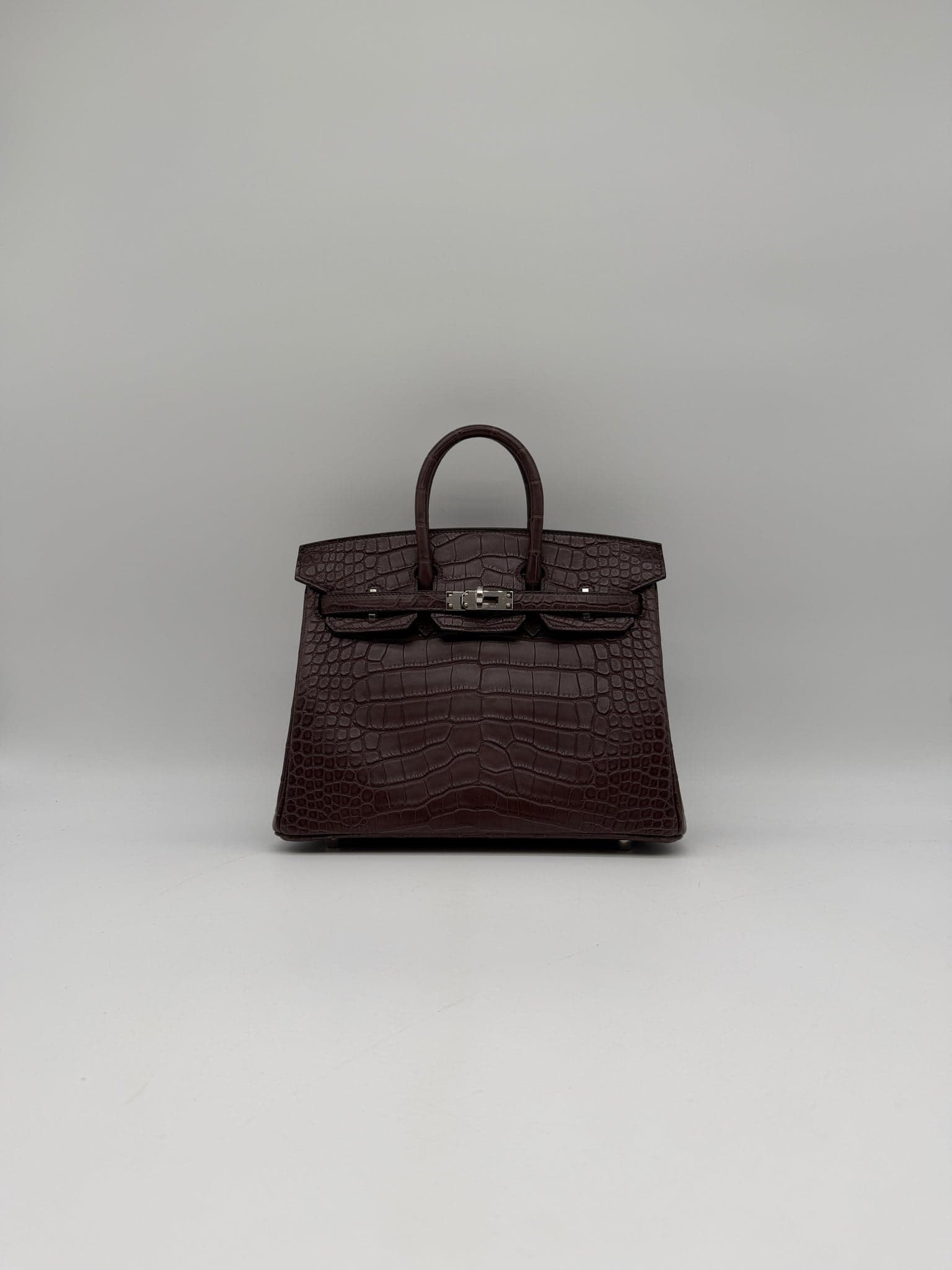 Hermès Birkin 25 in Havane Matte Alligator Palladium (PHW) hardware — front view