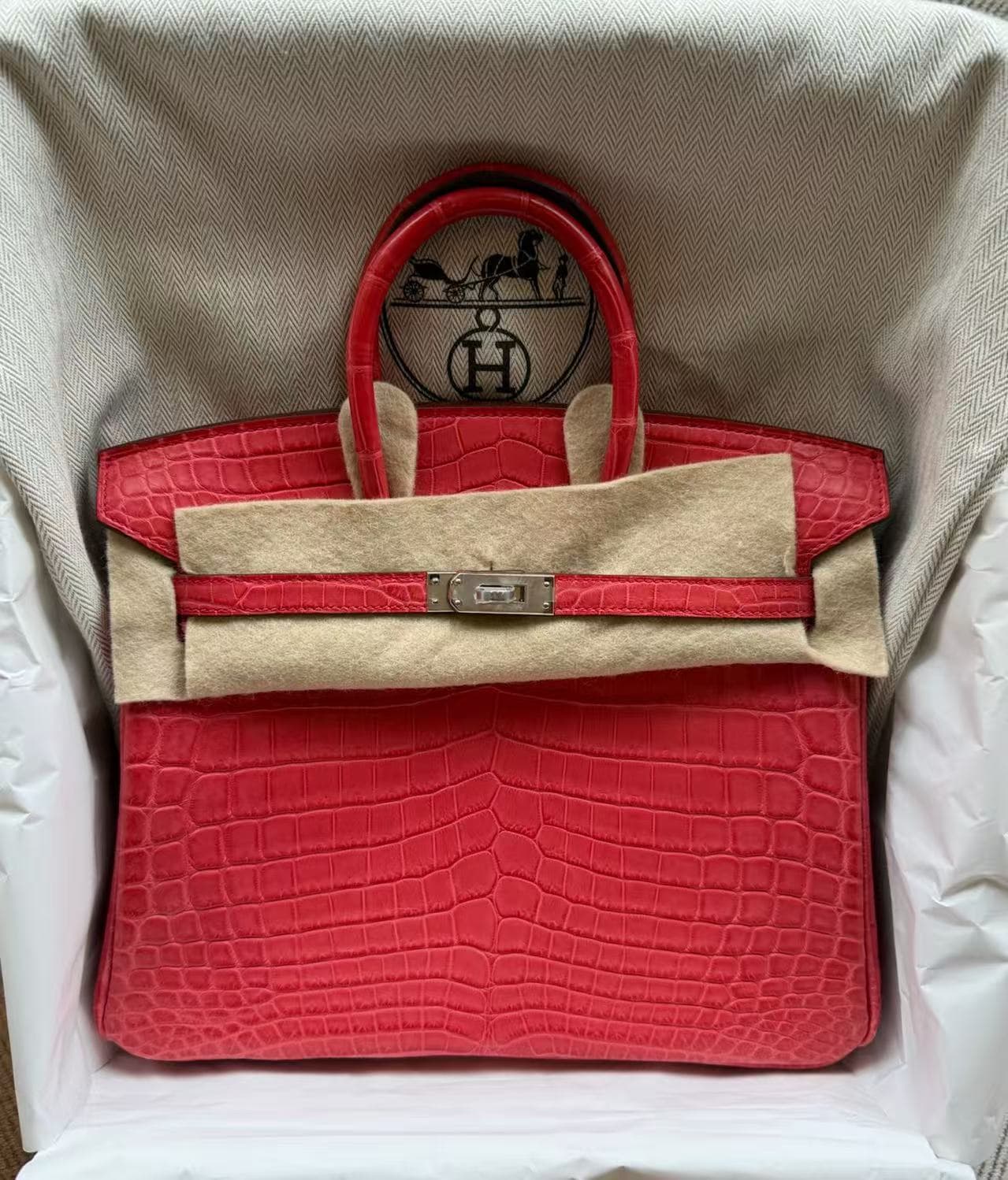 Hermès Birkin 25 in Bougainvillea Niloticus Crocodile Palladium (PHW) hardware — front view