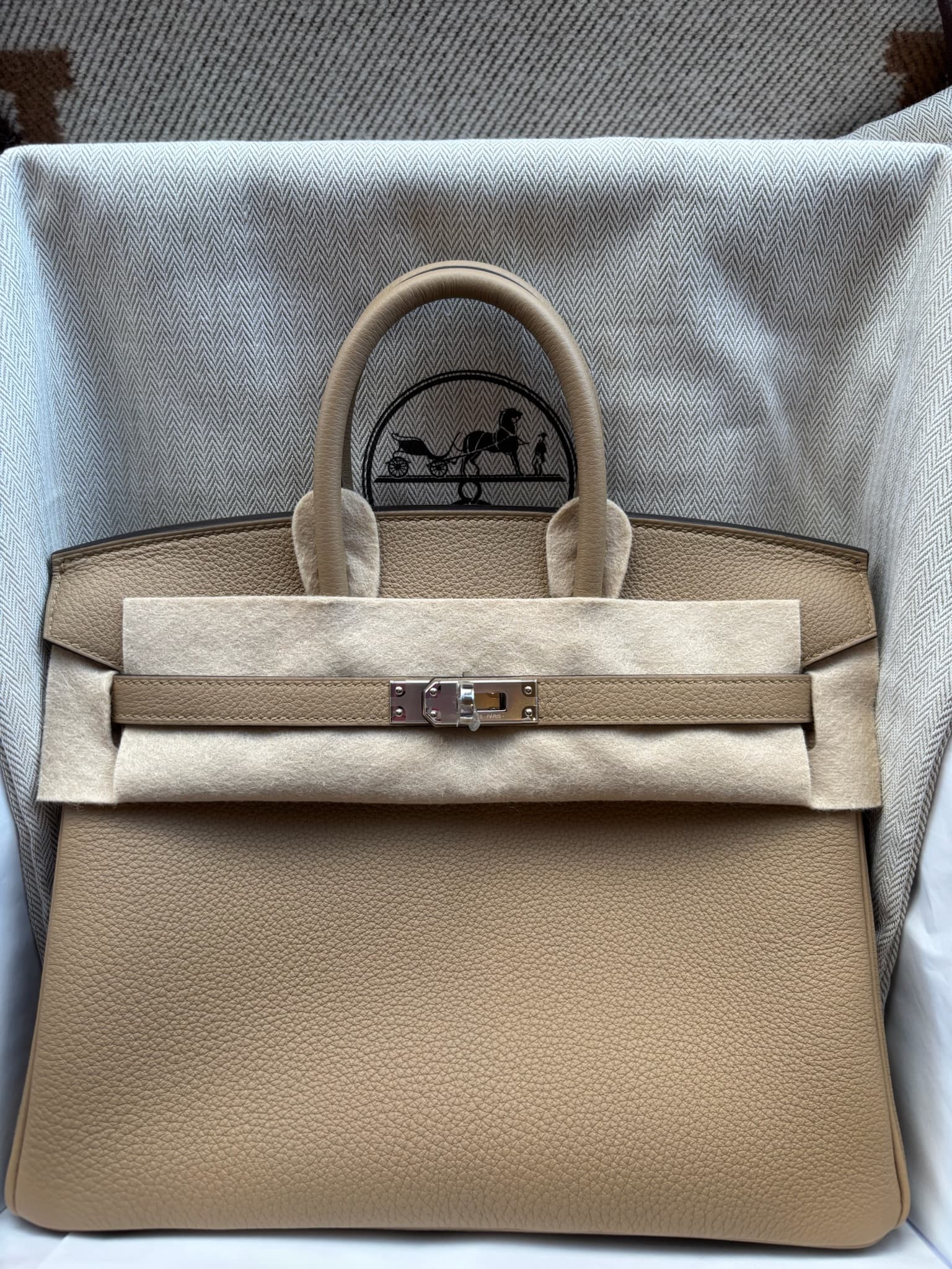 Hermès Birkin 25 in Poussiere Togo Palladium (PHW) hardware — front view