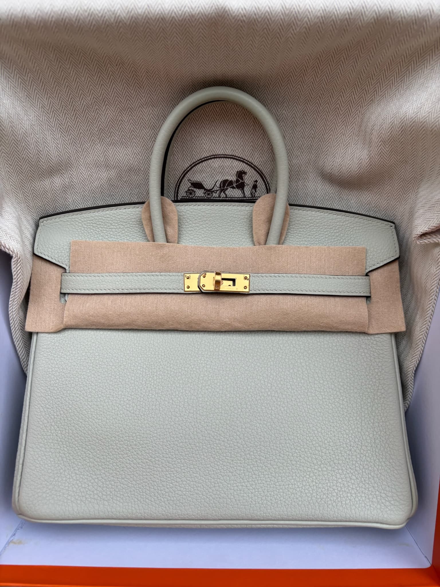 Hermès Birkin 25 in Gris Neige Togo GHW hardware — front view