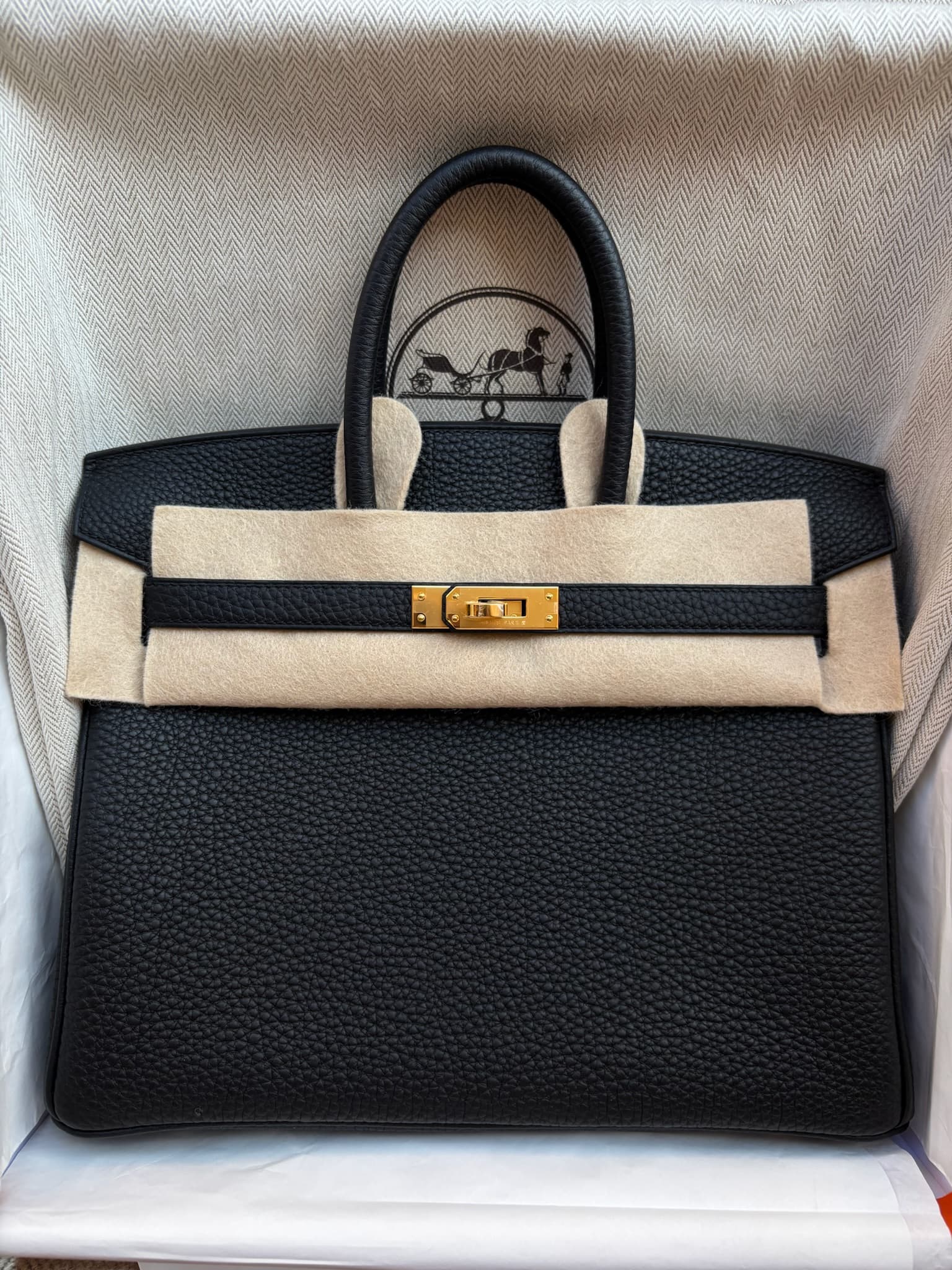 Hermès Birkin 25 in Black Togo GHW hardware — front view