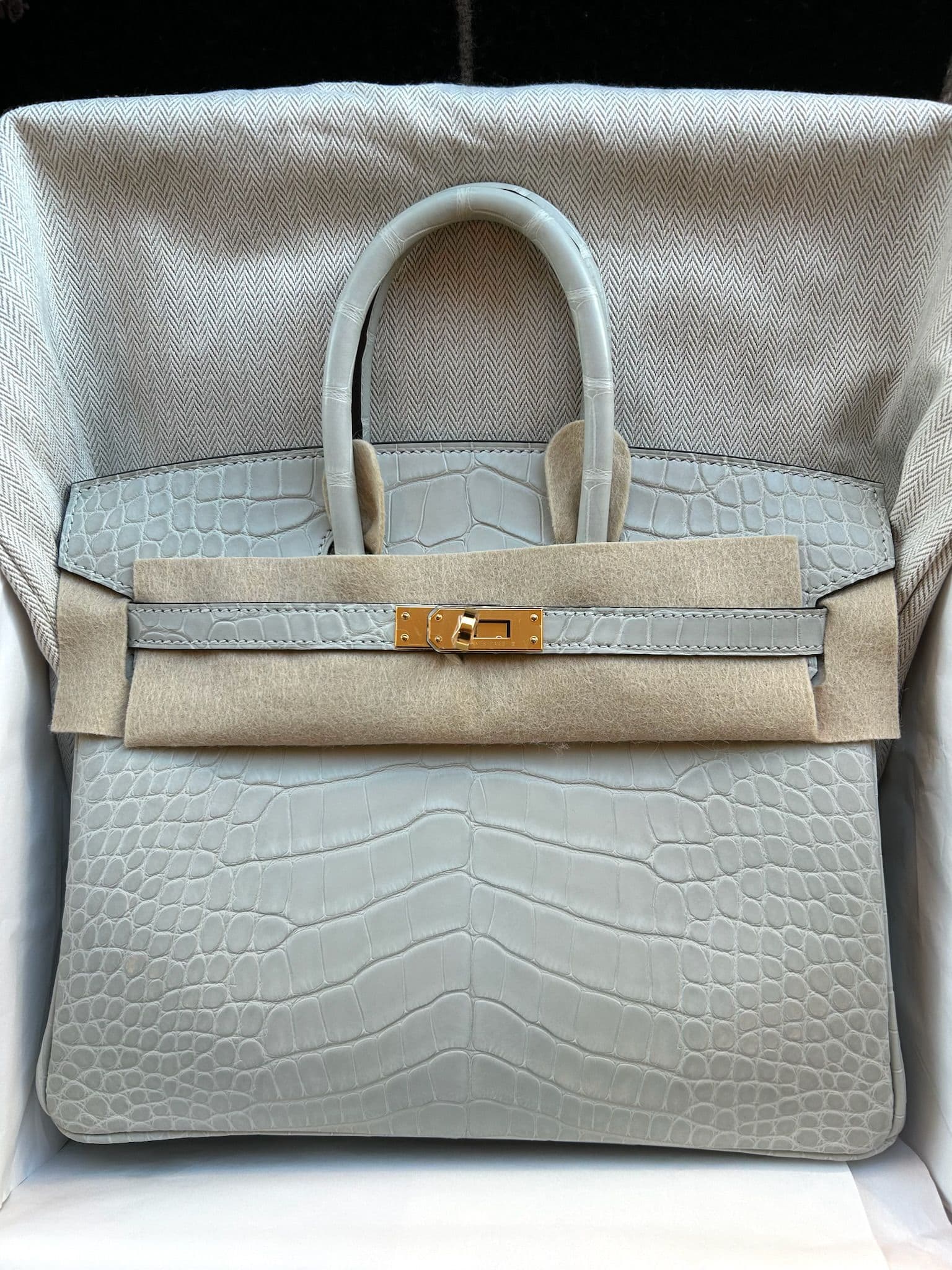 Hermès Birkin 25 in Gris Neige Matte Alligator GHW hardware — front view
