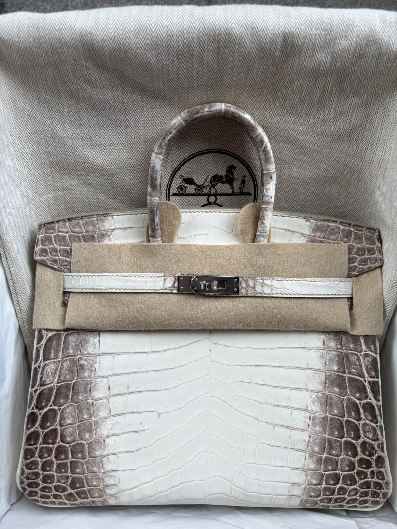 Hermès Birkin 25 in Himalayan Niloticus Crocodile PHW hardware — front view
