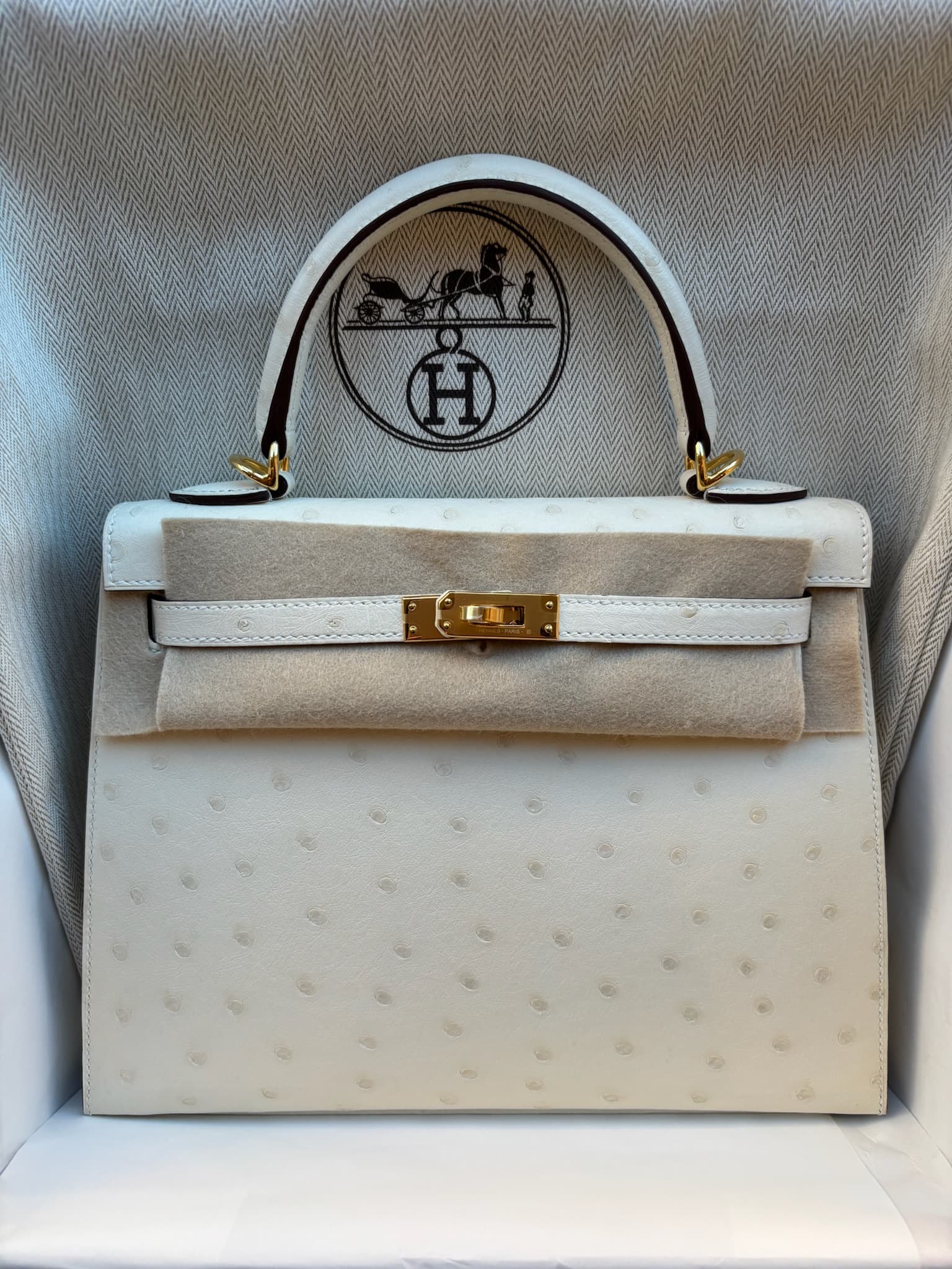 Hermès Kelly 25 in Nata Ostrich GHW hardware — front view