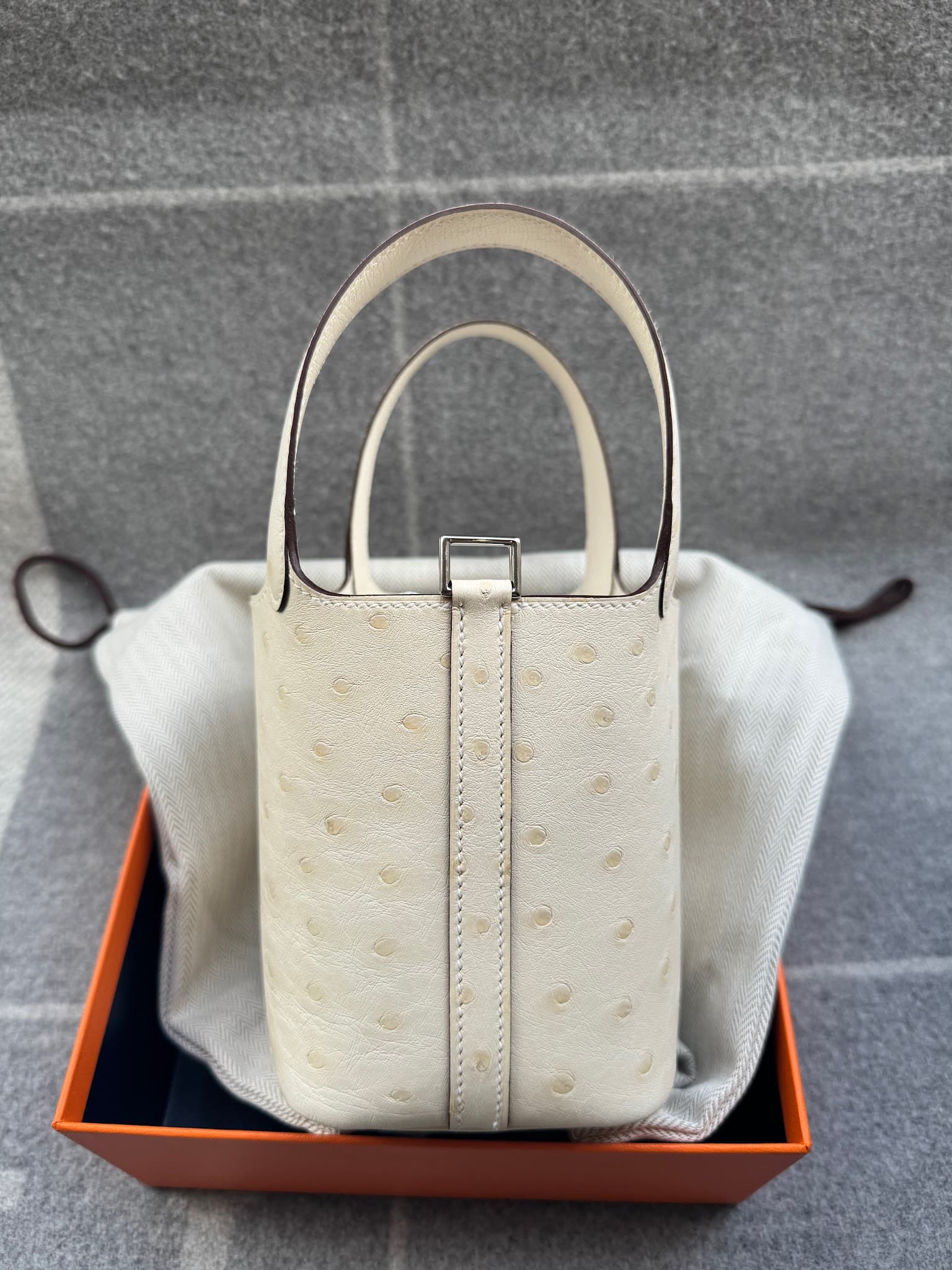 Hermès Micro Kelly 14 in Nata Ostrich PHW hardware — front view