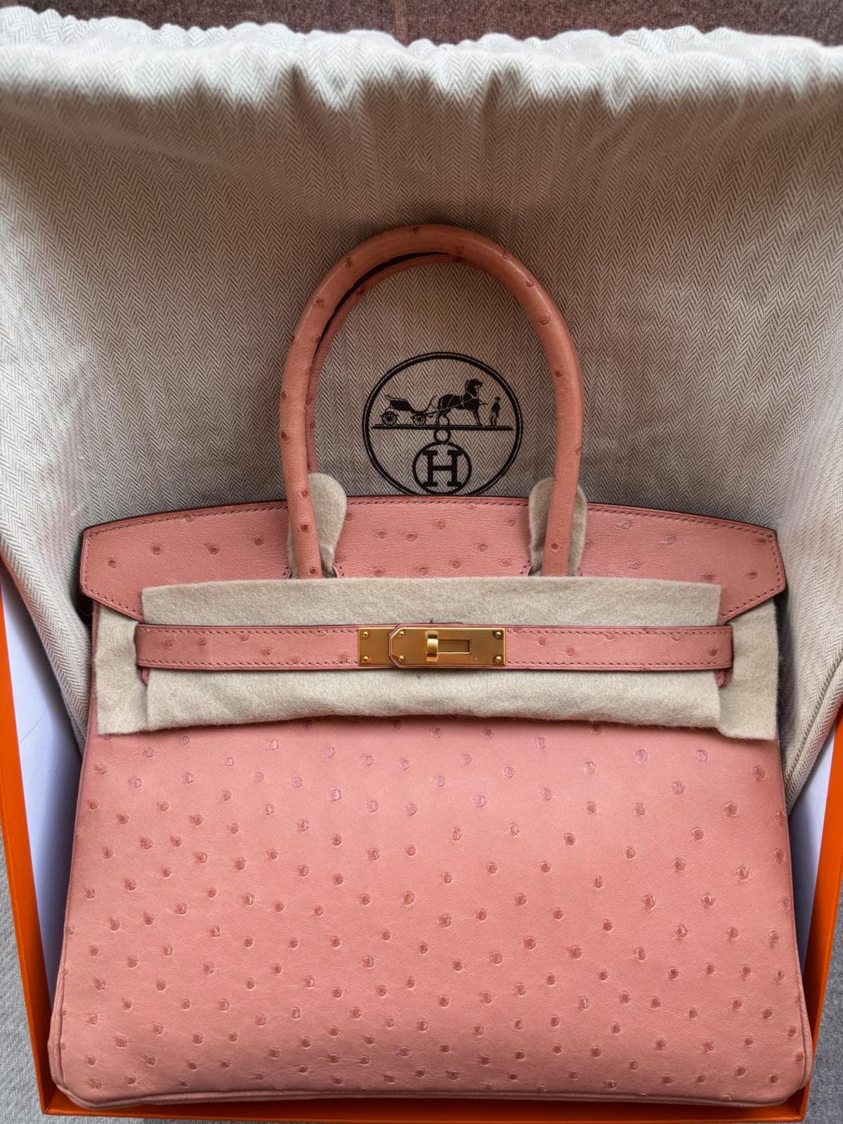 Hermès Birkin 30 in Terre Cuite Ostrich GHW hardware — front view